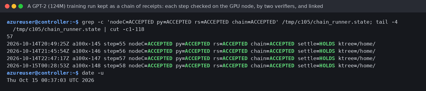 Recorded training-chain output: 57 records have node, Python, Rust and chain checks ACCEPTED. The displayed tail shows steps 55 through 58.